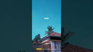 Download lagu Story wa 30 detik~Wanita akhir zaman mp3