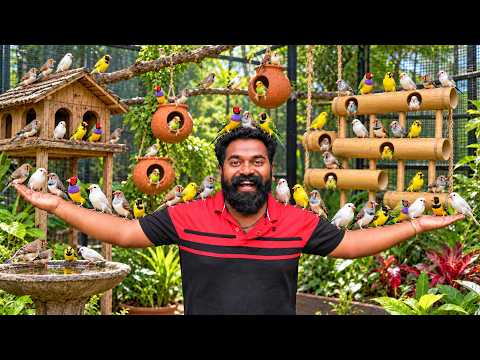 Ep 11 Building A Giant Bird House | കിളികൂട്ടിലേക്ക് പുതിയ ഫിഞ്ചസിനെയും പ്രാവിനെയും വാങ്ങിച്ചു |