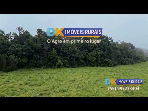 🚜 Fazenda à Venda em Ijuí/RS | 21,3 Hectares com Lavoura, Casa e Galpão 🌾