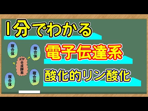 D1A: 重大な即時影響を伴う非常に有毒な物質