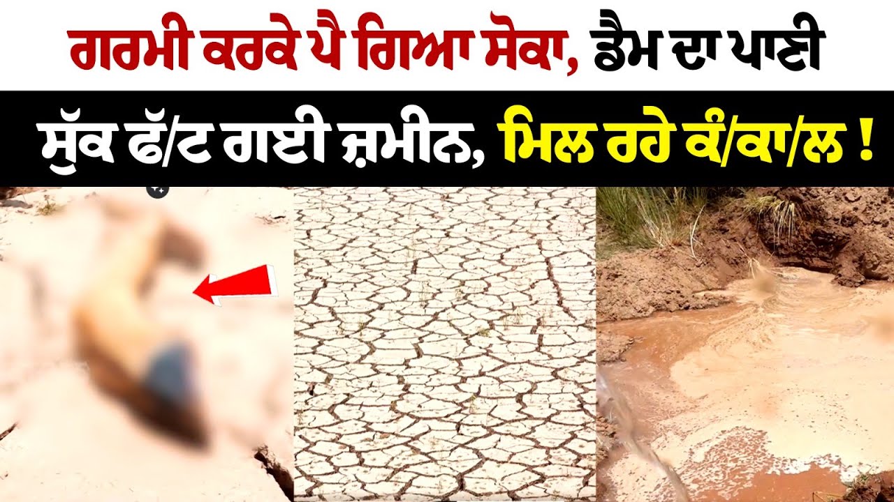 Water Crises In Punjab : ਗਰਮੀ ਕਰਕੇ ਪੈ ਗਿਆ ਸੋਕਾ, Dam Water ਸੁੱਕ ਫੱਟ ਗਈ ਜ਼ਮੀਨ, ਮਿਲ ਰਹੇ ਕੰਕਾਲ Water Crises In Punjab : ਗਰਮੀ ਕਰਕੇ ਪੈ ਗਿਆ ਸੋਕਾ, Dam Water ਸੁੱਕ ਫੱਟ ਗਈ ਜ਼ਮੀਨ, ਮਿਲ ਰਹੇ ਕੰਕਾਲ