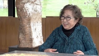 Interview with Fog Artist Fujiko Nakaya, The Glass House