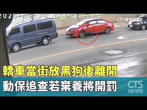 轎車當街放黑狗後離開　動保追查若棄養將開罰