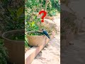 Bhagwan Kis Kasoor Ki Di Hai Mujhe Saja Status Birds