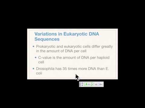 Genetics A Conceptual Approach: Chapter 11 pt 3 and Chapter 12 pt 1