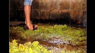 7 Puertas Pedro Guerra