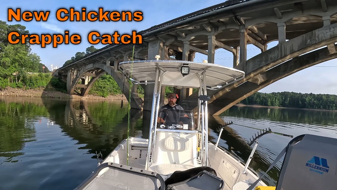 Solo Man Off Grid, New Chickens, Crappie Fishing, Garden Trapping