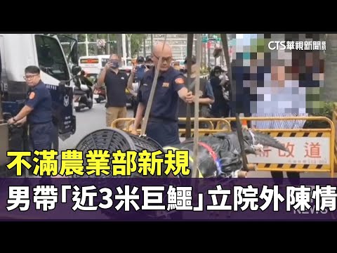 不滿農業部新規　男帶「近3米巨鱷」立院外陳情