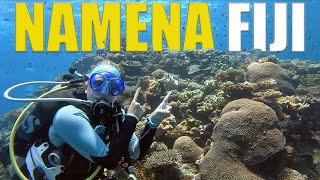 TOP 10 Dive Site In THE WORLD Namena Marine Reserve Fiji 🇫🇯