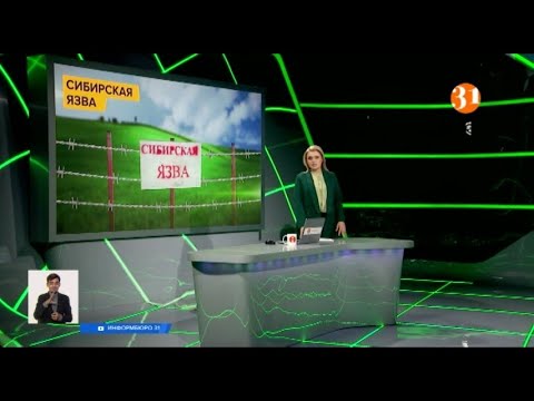 Информбюроның 23.09.2020 күнгі толық шығарылымы