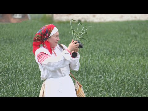 В деревне Столбун провели уникальный народный обряд «Ваджэнне стралы» видео