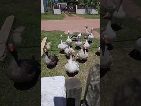 Conoce Alojamiento Maridalba