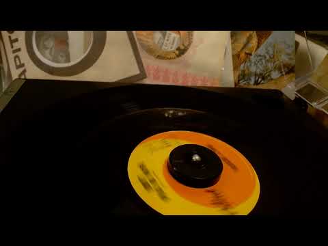 Susan Lynne - Don't Drag No More 1964