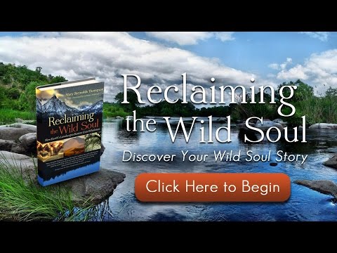 Reclaiming the Wild Soul - How Earth's Landscapes Restore Us to Wholeness