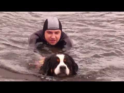 8 Mistrzostwa Polski Psów Ratowniczych i Pracujących w Wodzie 2013 - Dąbrowa Górnicza, Pogoria III