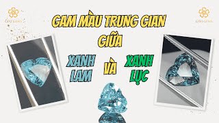 Gam màu trung gian giữa Xanh Lam và Xanh Lục