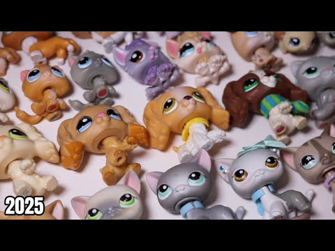 Let's Organize My Entire LPS Collection Together! (2025)