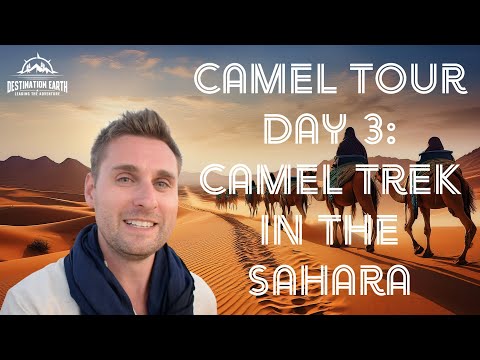 Camel Tour Day 3: Camel  Trek in the Sahara Desert via Marrakech, Morocco
