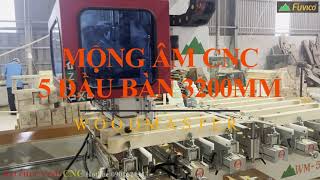 Máy mộng âm cnc 5 đầu bàn dài 3200mm Woodmaster WM5CNC