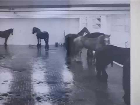 ArsLife - Per una collezione di Fotografia