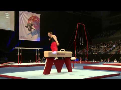 DAN PURVIS PH APPARATUS FINAL 2014 BRITISH - MASTERS
