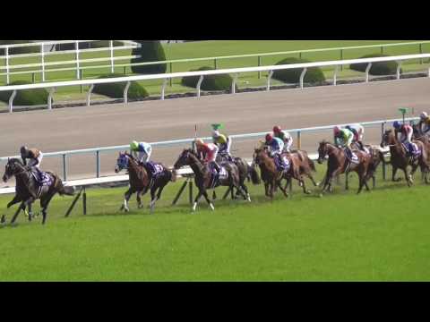 TENNO SHO – PRINTEMPS (GR1) – Kitasan Black　(magnétoscoper)