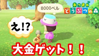 【あつ森】#6 石をたたいて８０００ベル掘り当てた！ニンテンドースイッチ　あつまれどうぶつの森ゲーム実況