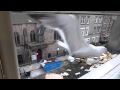 Seagulls Eating Bread Close View