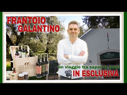 Frantoio Galantino, un viaggio tra sapori e sensi... " in esclusiva solo per gli italiani"