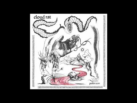 Cloud Rat - Pollinator (2019)
