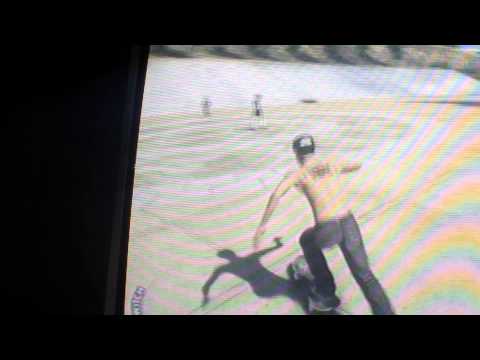 Skate 3