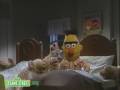 Sesame Street Bert S Blanket