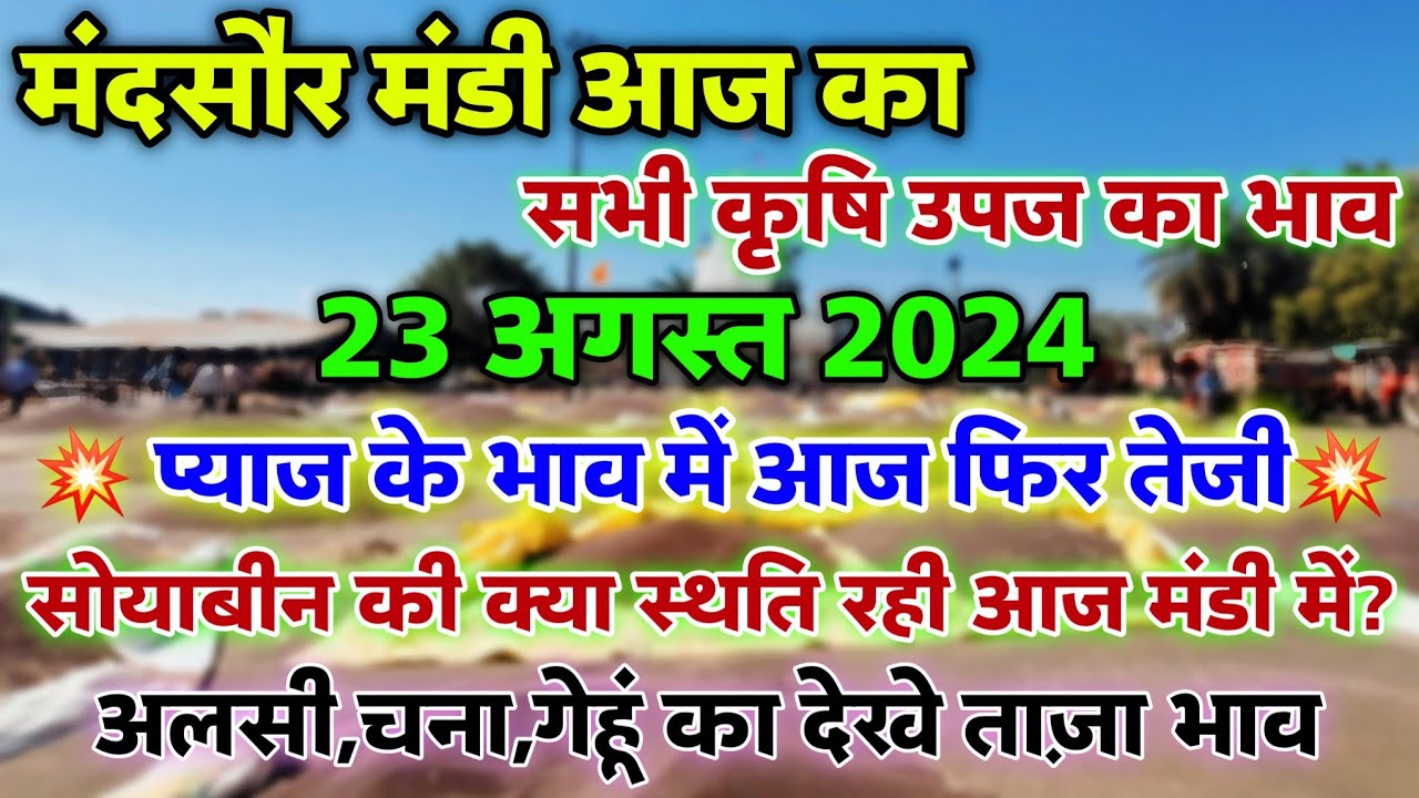 मंदसौर मंडी आज का सभी कृषि उपज का भाव 23 अगस्त 2024 | mandsaur mandi rate today #mandsaur_mandi_bhav