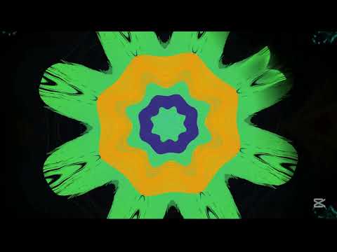 Schiller - I will follow you (mit Henree), #schiller #fyp #video