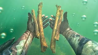 Found Human Bones Underwater! (Police Called)