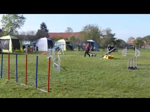 Robin - SA2 Ratenice