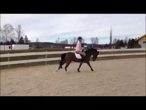 Velix, kat II sprangponni