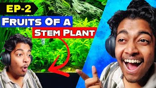 Reacting to your Planted tank set-ups and aquascapes from all over India (EP2)
