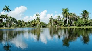 Top 12. Best Tourist Attractions in Coral Gables, Florida