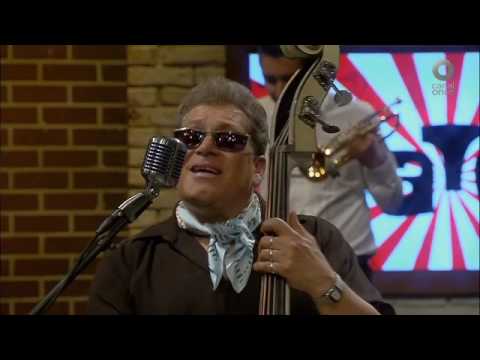 Foro Once - Los gatos rockabilly