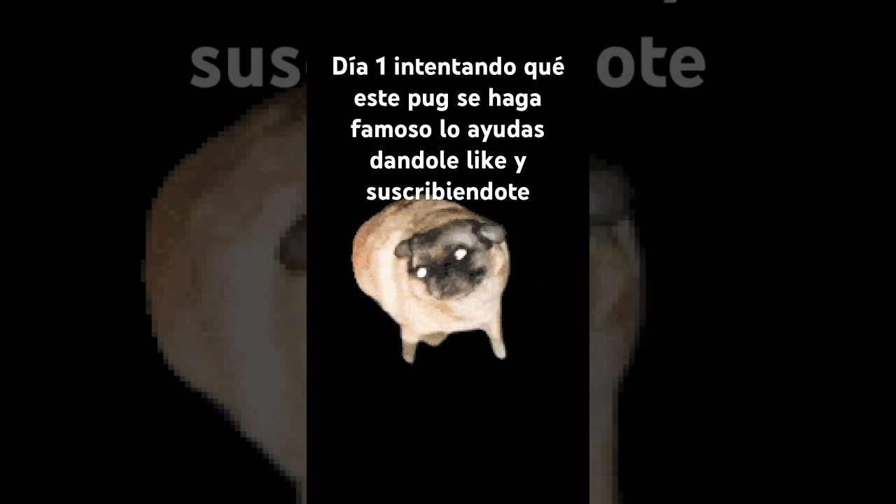 11 de abril del 2026