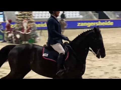 Kto Terminator - mare, 2017, by Dominator Z x Cicero Z, CSIYH Opglabbeek - 5th place