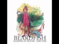 Beardfish - The Ungodly Slob