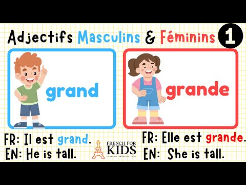 part 1:Master Masculine Feminine French Adjectives Fast Essential Beginner French Lesson