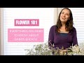 Flower 101 Everything You Need To Know About Babies Breath