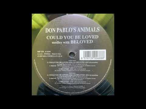 Don Pablo's Animals – Could You Be Loved Medley With Beloved