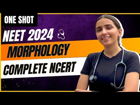 NEET 2024 Morphology in One Shot | Class-11 Biology.