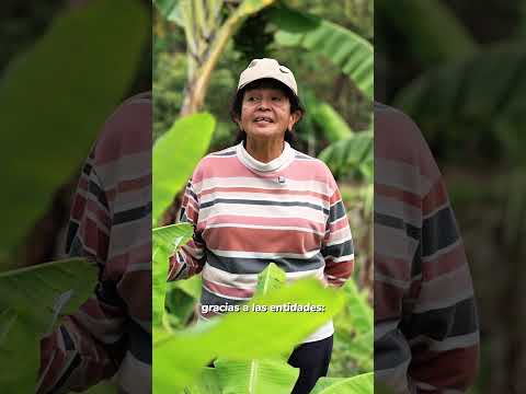 Reforma agraria en Colombia: historia real de familias campesinas en Cundinamarca 🌱