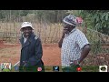 ARAP SEUREI HAS A PLAN WITH KIBICHII YA KWENDA STATEHOUSE