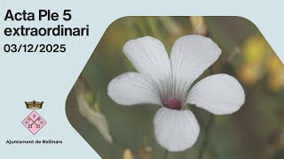 Ple 5 extraordinari de data 03/12/2025